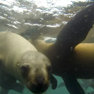 Explore Lima Tourist Package for 3 days with America Viajes and discover unforgettable experiences - Photo 10