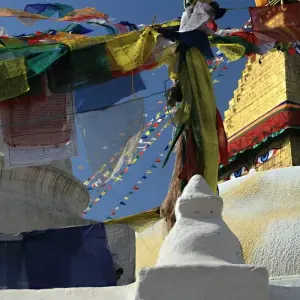 Explore Manaslu Circuit Trek for 14 days with Ammonite Adventures and discover unforgettable experiences - Photo 7