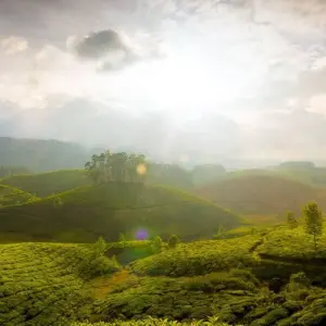 Explore Kerala honeymoon tour for 3 days with Anaisha journey and discover unforgettable experiences - Photo 2