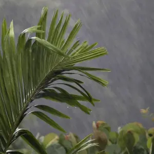 Explore Kerala honeymoon tour for 3 days with Anaisha journey and discover unforgettable experiences - Photo 3