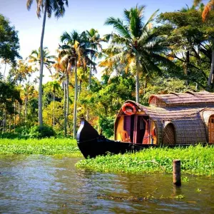 Explore Exotic tour of kerala for 8 days with Anaisha journey and discover unforgettable experiences - Photo 3