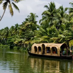 Explore Kerala honeymoon tour for 3 days with Anaisha journey and discover unforgettable experiences - Photo 4