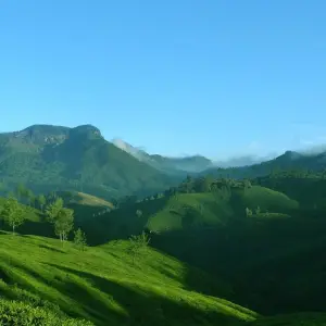 Explore Exotic tour of kerala for 8 days with Anaisha journey and discover unforgettable experiences - Photo 4