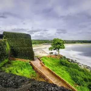 Explore Exotic tour of kerala for 8 days with Anaisha journey and discover unforgettable experiences - Photo 5