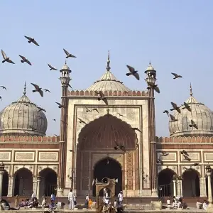 Explore Tour of rajasthan for 10 days with Anaisha journey and discover unforgettable experiences - Photo 6