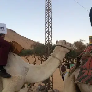 Explore Cairo, Alexandria, Nile Cruise and Red Sea ( Hurgada) for 14 days with Ancient Power Travel LLC and discover unforgettable experiences - Photo 2