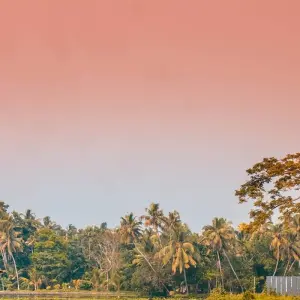 Explore Exotic tour of kerala for 8 days with Anaisha journey and discover unforgettable experiences - Photo 7
