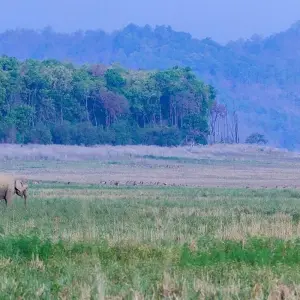 Explore 3 Days jim Corbett National Park Tour From Delhi By Car for 3 days with Anaisha journey and discover unforgettable experiences - Photo 8