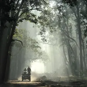 Explore 3 Days jim Corbett National Park Tour From Delhi By Car for 3 days with Anaisha journey and discover unforgettable experiences - Photo 10