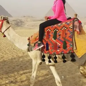 Explore 7 Days Cairo & Aswan, Luxor with Alexandria Holiday for 7 days with Ancient Egypt Tours and discover unforgettable experiences - Photo 2
