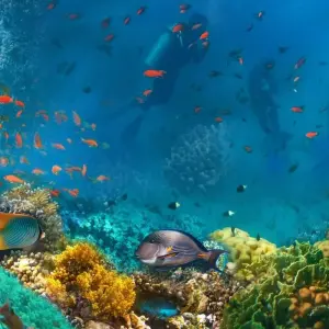 Explore 7 Days Cairo Luxor  and Sharm El Shiekh Holiday for 7 days with Ancient Egypt Tours and discover unforgettable experiences - Photo 9