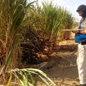 Explore 11 Days Cairo, Luxor & Desert Safari Tour for 11 days with Ancient Egypt Tours and discover unforgettable experiences - Photo 4