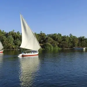 Explore 9 Days Cairo And Nile Cruise With Alexandria Holiday for 9 days with Ancient Egypt Tours and discover unforgettable experiences - Photo 10