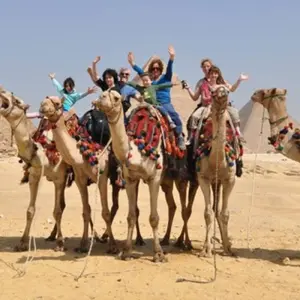 Explore 10 Days Cairo, Luxor and Aswan Holiday for 10 days with Ancient Egypt Tours and discover unforgettable experiences - Photo 10