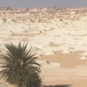 Explore 6 Days Cairo and Oasis Desert Adventure for 6 days with Ancient Egypt Tours and discover unforgettable experiences - Photo 9