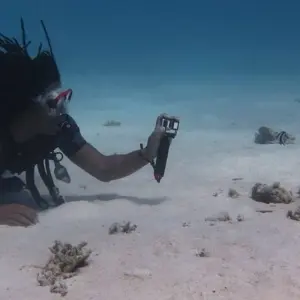 Explore 7 Days Cairo and Sharm El Shiekh Holiday for 7 days with Ancient Egypt Tours and discover unforgettable experiences - Photo 8