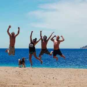 Explore 7 Days Cairo and Sharm El Shiekh Holiday for 7 days with Ancient Egypt Tours and discover unforgettable experiences - Photo 10