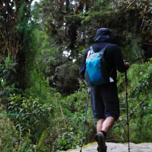 Explore Short Inca Trail to Machu Picchu with Hotel 2 Days for 2 days with Andean Path Travel and discover unforgettable experiences - Photo 3