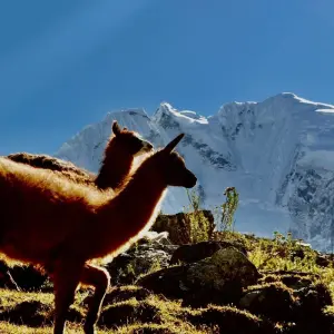 Explore Alternative Salkantay Trek via Inca Trail 4 Days for 4 days with Andean Path Travel and discover unforgettable experiences - Photo 4