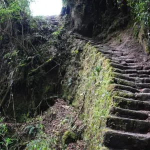 Explore Private Inca Trail Tour 4 Days/ families or couples for 4 days with Andean Path Travel and discover unforgettable experiences - Photo 5