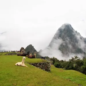 Explore Sacred Valley & Machu Picchu Tour by train 2 Days for 2 days with Andean Path Travel and discover unforgettable experiences - Photo 7