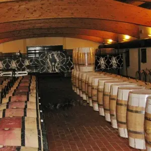 Explore Tuscany: A Timeless Tapestry of Art, History and Flavor for 6 days with Angel Wine Experiences and Enotropea Wine Experiences SL and discover unforgettable experiences - Photo 3