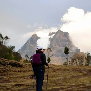 Explore Ultimate Lares Trek 4 Days to Machu Picchu for 4 days with Andean Path Travel and discover unforgettable experiences - Photo 9