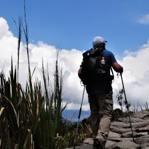 Explore Private Inca Trail Tour 4 Days/ families or couples for 4 days with Andean Path Travel and discover unforgettable experiences - Photo 8