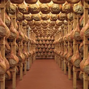 Explore Friuli-Venezia Giulia: Experience to discover the wines and flavors of a unique land for 7 days with Angel Wine Experiences and Enotropea Wine Experiences SL and discover unforgettable experiences - Photo 2