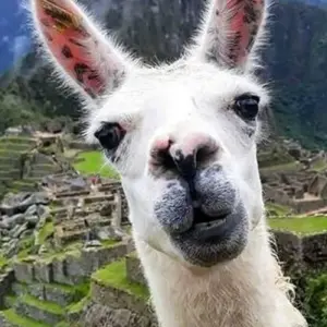 Explore Sacred Valley & Short Inca Trail Hike 3 Days for 3 days with Andean Path Travel and discover unforgettable experiences - Photo 9