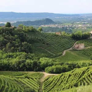 Explore Veneto Experience, crafted for food and wine lovers. for 9 days with Angel Wine Experiences and Enotropea Wine Experiences SL and discover unforgettable experiences - Photo 4