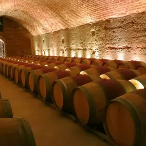 Explore Friuli-Venezia Giulia: Experience to discover the wines and flavors of a unique land for 7 days with Angel Wine Experiences and Enotropea Wine Experiences SL and discover unforgettable experiences - Photo 3