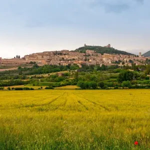 Explore The Best of Umbria Through History, Flavors and Relaxation for 5 days with Angel Wine Experiences and Enotropea Wine Experiences SL and discover unforgettable experiences - Photo 5