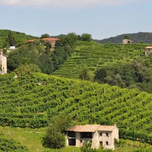 Explore Veneto Experience, crafted for food and wine lovers. for 9 days with Angel Wine Experiences and Enotropea Wine Experiences SL and discover unforgettable experiences - Photo 8