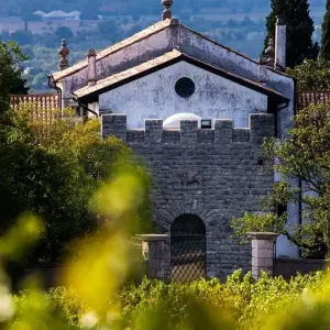 Explore Friuli-Venezia Giulia: Experience to discover the wines and flavors of a unique land for 7 days with Angel Wine Experiences and Enotropea Wine Experiences SL and discover unforgettable experiences - Photo 10