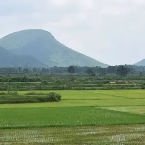 Explore Highlights of Odisha for 5 days with Apollo Voyages and discover unforgettable experiences - Photo 3