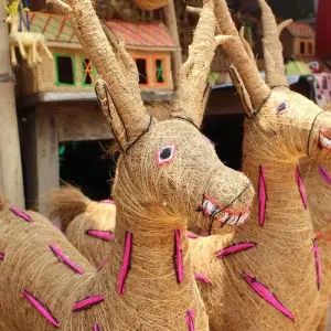 Explore Highlights of Odisha for 5 days with Apollo Voyages and discover unforgettable experiences - Photo 6