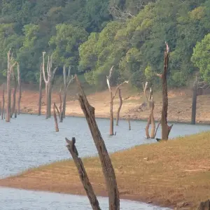 Explore Kerala Invites for 6 days with Apollo Voyages and discover unforgettable experiences - Photo 4