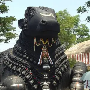Explore Highlights of Karnataka for 4 days with Apollo Voyages and discover unforgettable experiences - Photo 9