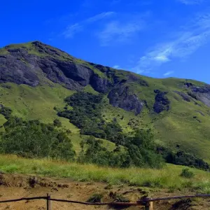 Explore Kerala Invites for 6 days with Apollo Voyages and discover unforgettable experiences - Photo 6