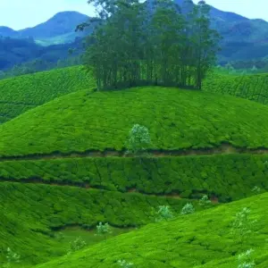 Explore Kerala Invites for 6 days with Apollo Voyages and discover unforgettable experiences - Photo 7