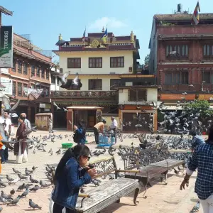 Explore Nepal View Tour for 11 days with Approved Holidays Pvt. Ltd. and discover unforgettable experiences - Photo 2