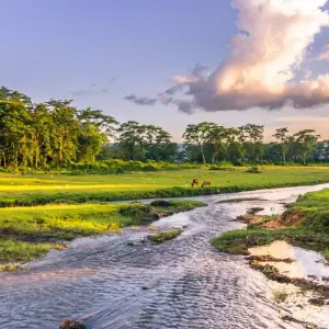 Explore Explore Nepal Tour for 8 days with Approved Holidays Pvt. Ltd. and discover unforgettable experiences - Photo 3