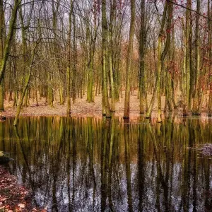 Explore Chitwan Jungle Safari for 3 days with Approved Holidays Pvt. Ltd. and discover unforgettable experiences - Photo 3