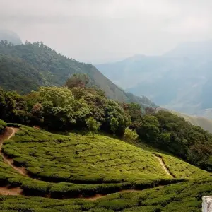 Explore Kerala Invites for 6 days with Apollo Voyages and discover unforgettable experiences - Photo 11