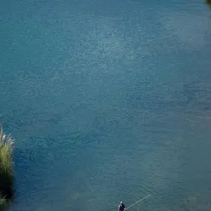 Explore Chitwan Jungle Safari for 3 days with Approved Holidays Pvt. Ltd. and discover unforgettable experiences - Photo 5