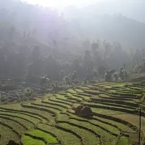Explore Nepal Village Tour for 7 days with Approved Holidays Pvt. Ltd. and discover unforgettable experiences - Photo 6