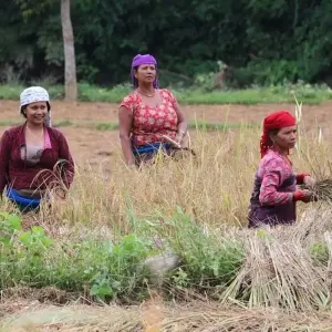 Explore Nepal Village Tour for 7 days with Approved Holidays Pvt. Ltd. and discover unforgettable experiences - Photo 7