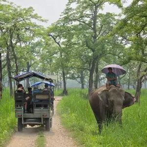 Explore Chitwan Jungle Safari for 3 days with Approved Holidays Pvt. Ltd. and discover unforgettable experiences - Photo 8