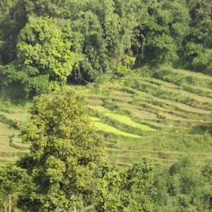 Explore Nepal Village Tour for 7 days with Approved Holidays Pvt. Ltd. and discover unforgettable experiences - Photo 8